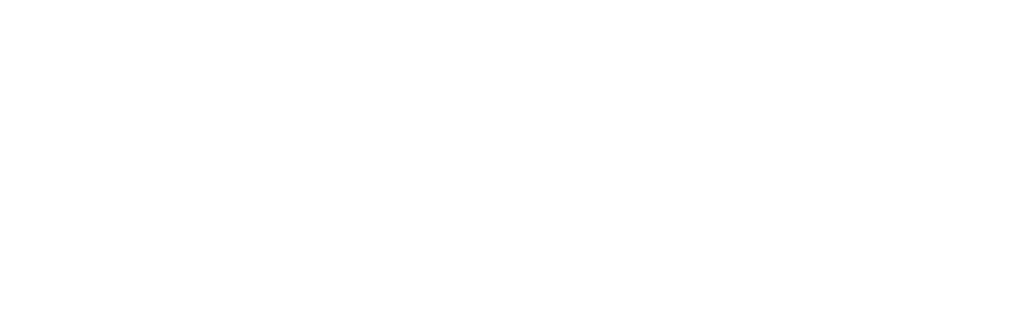 PBU Logo weiß PBU Logo weiß